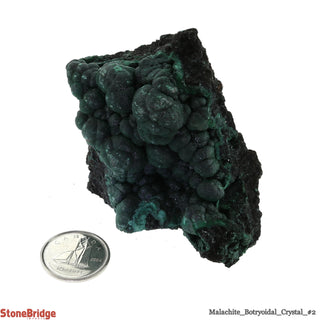 Malachite Botryoidal Crystal #2 - 100g to 200g    from Stonebridge Imports