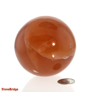 Calcite Honey Sphere - Medium #1 - 2 3/4"    from Stonebridge Imports