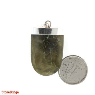 Labradorite Tongue Pendant    from Stonebridge Imports