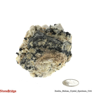 Aegirine with Orthoclase/ Zomba Malosa U#6    from Stonebridge Imports