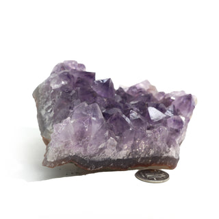 Amethyst Clusters #3 - 4" to 5"    from Stonebridge Imports