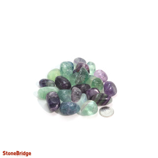 Fluorite Purple & Green Tumbled Stones    from Stonebridge Imports