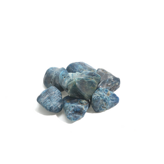 Apatite Blue Tumbled Stones - Semi-Polished Large   from Stonebridge Imports