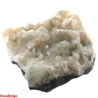 Zeolite on Basalt Cluster - APOPHYLLITE & STILBITE U#62    from Stonebridge Imports