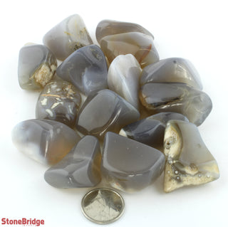 Agate Grey Tumbled Stones    from Stonebridge Imports
