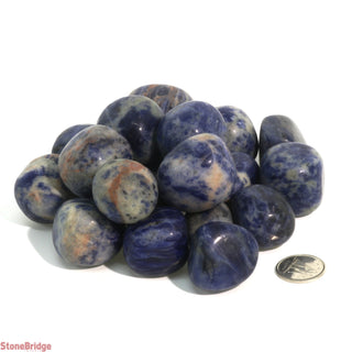 Sodalite B Tumbled Stones - India    from Stonebridge Imports