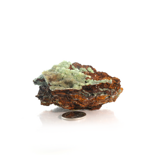 Austinite on Cuprian Mineral Specimen    from Stonebridge Imports