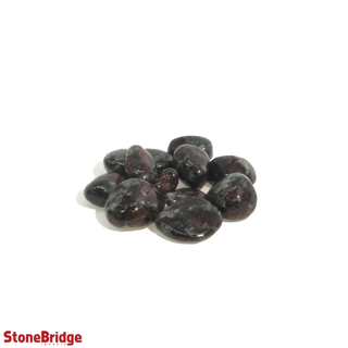 Eudialyte AA Tumbled Stones X-Small   from Stonebridge Imports