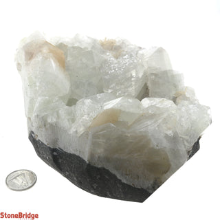 Zeolite on Basalt Cluster - APOPHYLLITE & STILBITE U#84    from Stonebridge Imports